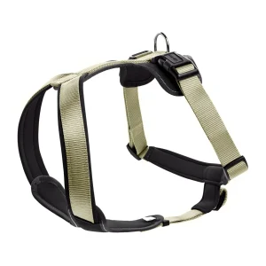 PETTORINA NEOPREN L 60-76CM/20MM VERDE